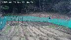 kannonmori-20250413133017.jpg