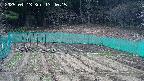 kannonmori-20250413134017.jpg