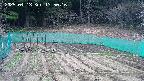 kannonmori-20250413135018.jpg