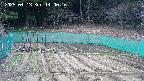 kannonmori-20250413140018.jpg
