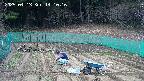 kannonmori-20250413141017.jpg