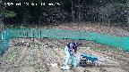 kannonmori-20250413145017.jpg