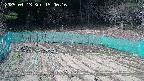 kannonmori-20250413150018.jpg
