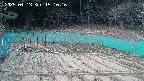 kannonmori-20250413151018.jpg
