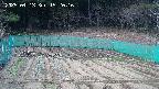 kannonmori-20250413152018.jpg