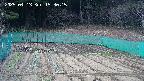 kannonmori-20250413153017.jpg