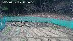 kannonmori-20250413154016.jpg