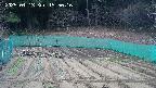 kannonmori-20250413155018.jpg