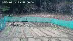 kannonmori-20250413160018.jpg