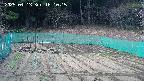 kannonmori-20250413161017.jpg