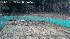 kannonmori-20250413162018.jpg