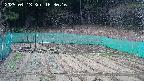 kannonmori-20250413163018.jpg