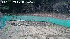 kannonmori-20250413164018.jpg