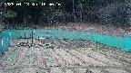 kannonmori-20250413165017.jpg