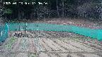 kannonmori-20250413170017.jpg