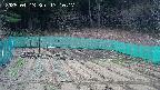 kannonmori-20250413171019.jpg
