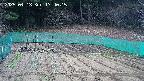 kannonmori-20250413174017.jpg