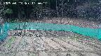 kannonmori-20250413175019.jpg