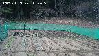 kannonmori-20250413182017.jpg