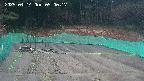 kannonmori-20250414050019.jpg