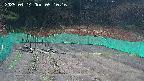 kannonmori-20250414051018.jpg