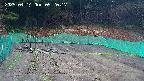 kannonmori-20250414052018.jpg