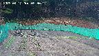 kannonmori-20250414053019.jpg