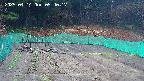 kannonmori-20250414054019.jpg