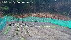 kannonmori-20250414055017.jpg