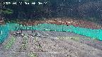 kannonmori-20250414060015.jpg