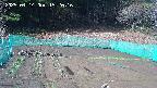kannonmori-20250414152018.jpg
