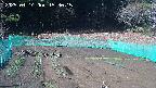 kannonmori-20250414153016.jpg