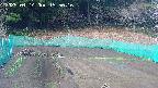 kannonmori-20250414155017.jpg