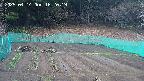 kannonmori-20250414162019.jpg