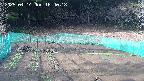 kannonmori-20250414164018.jpg