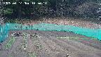 kannonmori-20250414165019.jpg