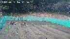 kannonmori-20250414171018.jpg