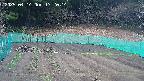 kannonmori-20250414172015.jpg