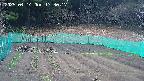 kannonmori-20250414173018.jpg