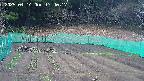 kannonmori-20250414174017.jpg