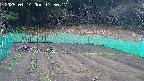 kannonmori-20250414175018.jpg