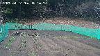 kannonmori-20250414181019.jpg