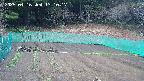 kannonmori-20250416131018.jpg