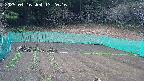 kannonmori-20250416132017.jpg