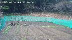 kannonmori-20250416133017.jpg
