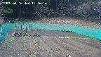 kannonmori-20250416134016.jpg