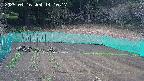 kannonmori-20250416141018.jpg
