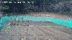 kannonmori-20250416142018.jpg