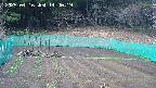 kannonmori-20250416144020.jpg