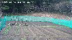 kannonmori-20250416145018.jpg